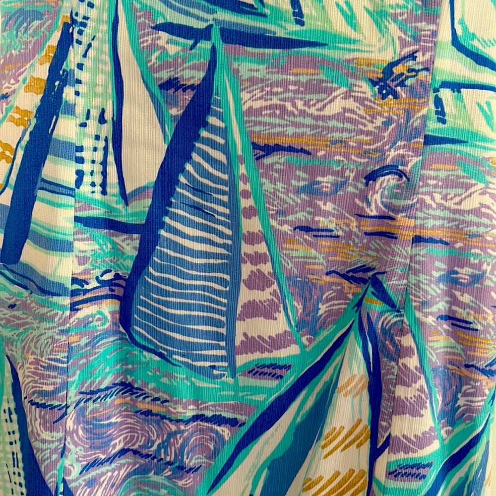 Lilly Pulitzer Dress - Picture 3 of 3